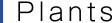 Plants