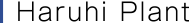 Haruhi Plant