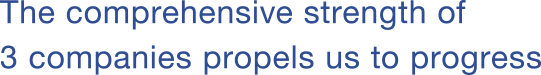 The comprehensive strength of 3 companies propels us to progress